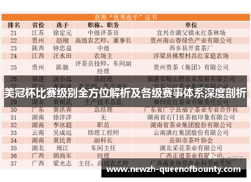 美冠杯比赛级别全方位解析及各级赛事体系深度剖析