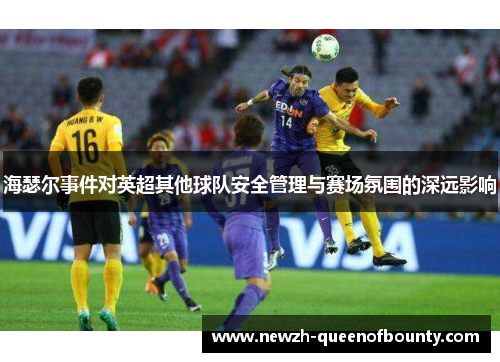 海瑟尔事件对英超其他球队安全管理与赛场氛围的深远影响