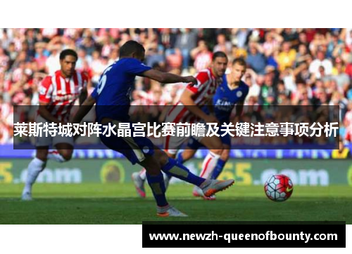 莱斯特城对阵水晶宫比赛前瞻及关键注意事项分析